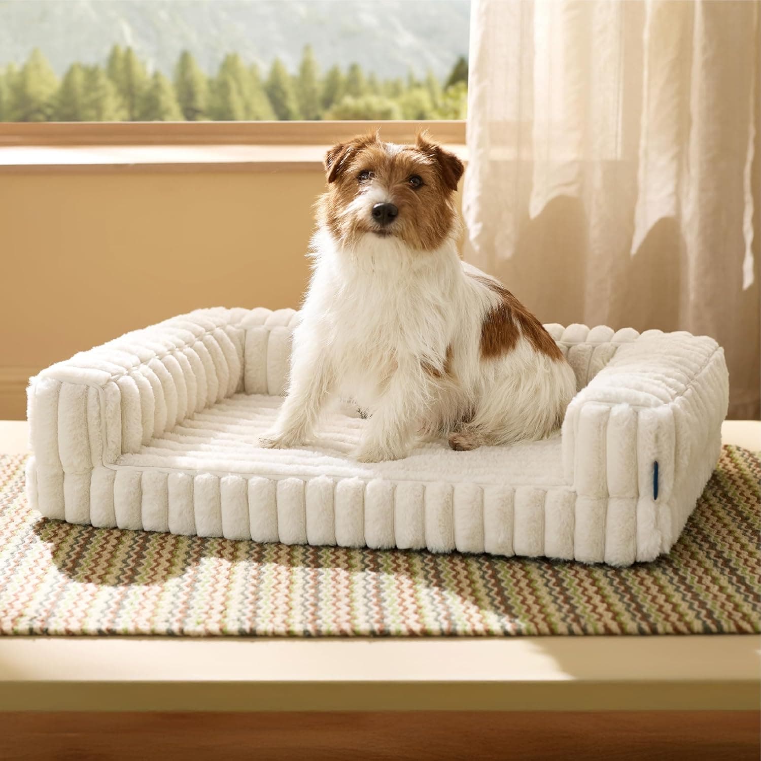 Bedsure Cuccia Ortopedica Lavabile per Cani Media, 76x51cm, Crema
